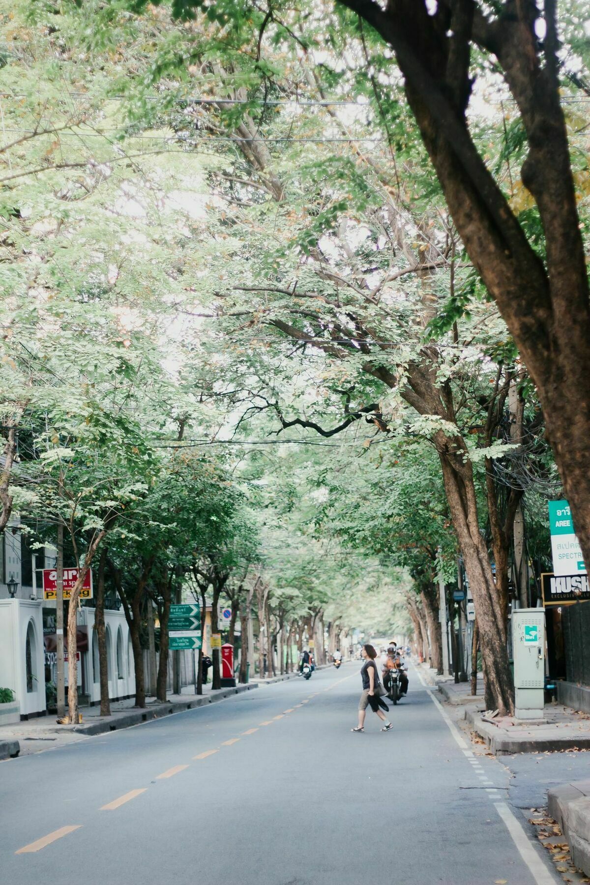 Weeping Willow Sukhumvit 26 방콕 외부 사진